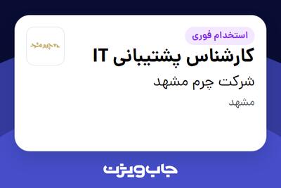 استخدام کارشناس پشتیبانی IT در شرکت چرم مشهد