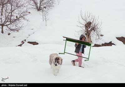 هواشناسی ایران1403/12/18؛بارش برف و باران در 29 استان - تسنیم