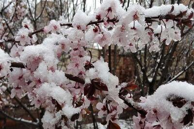 هواشناسی کشور امروز شنبه 18 اسفند ماه/ باران و برف در اغلب مناطق کشور - تجارت‌نیوز