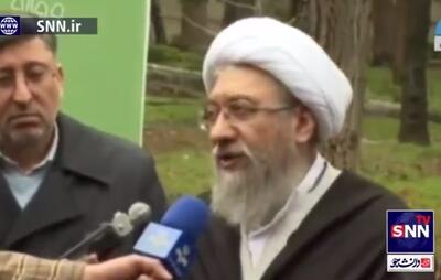 درخواست رئیس مجمع از تمامی نهادها برای جلوگیری از تخریب جنگل‌ها