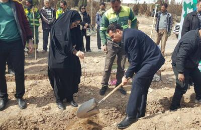 کاشت نهال ارغوان به نام شهدای قوچان