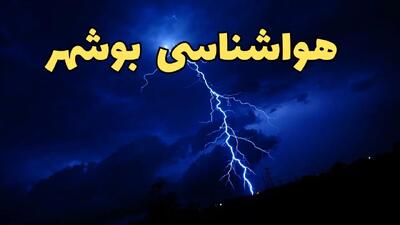 پیش بینی وضعیت آب و هوا بوشهر فردا دوشنبه ۲۰ اسفند ماه ۱۴۰۳ | پیش‌ بینی هواشناسی بوشهر طی ۲۴ ساعت آینده + آب و هوای بوشهر و زمان بارش