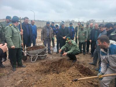 کاشت بیش از ۳ هزار اصل نهال مثمر گردو در کردستان