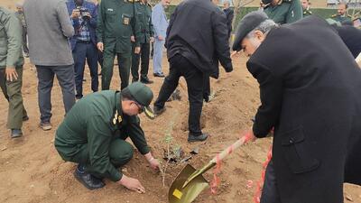 کاشت ۷۸ هزار نهال طی هفته درختکاری در کرمان