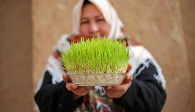 سبزه نوروزی‌تو خودت سبز کن؛ یه سنت، یه هنر، یه حس خوب!