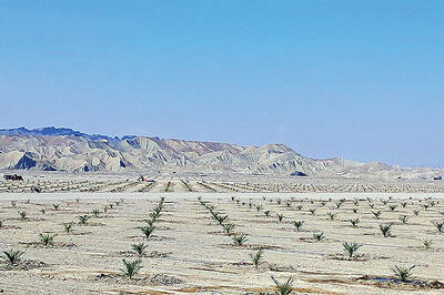 چشم‏‏‌انداز محرومیت‏‏‌زدایی از بشاگرد