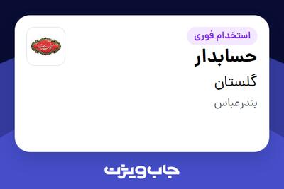 استخدام حسابدار - آقا در گلستان