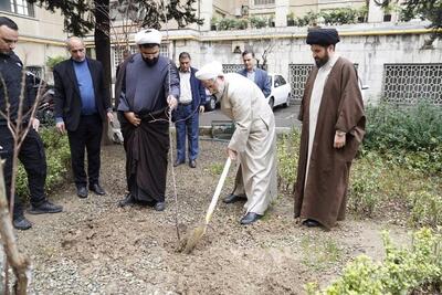 به جرایم زمین خواری و قلع و قمع درختان بدون مسامحه رسیدگی می‌کنیم