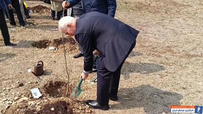 کاشت ۱۰۰ اصله درخت در زمین گلف مجموعه ورزشی انقلاب - پارس فوتبال