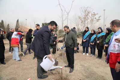 کاشت۲ هزار اصله نهال در بوستان بزرگ ولایت گامی به سوی تهران سبزتر