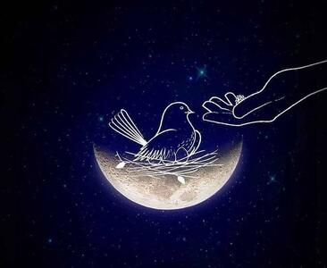 دعای روز نهم ماه رمضان+فیلم