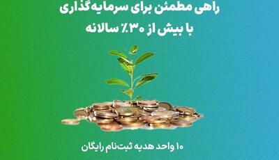 سرمایه‌گذاری بدون ریسک با ۳۱٫۷٪ سود روز شمار