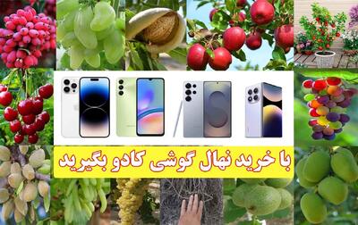 فروش ویژه خرید نهال با 70 درصد تخفیف و کادوی گوشی شیائومی یا سامسونگ در خرید های بزرگ