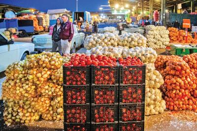  صادرات سیب و پرتقال ادامه دارد