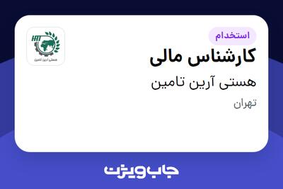 استخدام کارشناس مالی در هستی آرین تامین