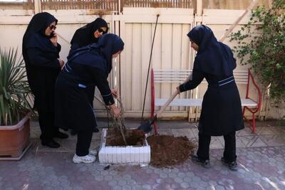 غرس چند اصله نهال به یاد دانش‌آموزان جان‌باخته فرزانگان کرمان