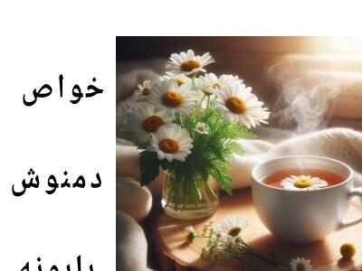 دمنوش بابونه برای چی خوبه ؟ معجزه بابونه برای زنان و مردان |  انصاف نیوز