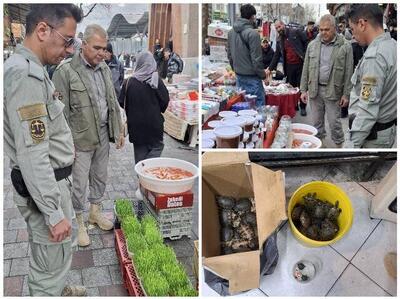 برخورد با خرید و فروش غیر مجاز گونه‌های جانوری در تهران