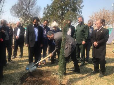 کاشت ۸ هزار اصله درخت در قبله تهران