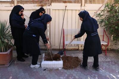 غرس چند اصله نهال به یاد دانش‌آموزان جان‌باخته فرزانگان کرمان 