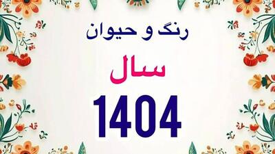 با رنگ و حیوان سال ۱۴۰۴ سال آشنا شوید