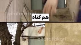 راه پله بدبختی