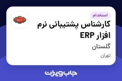 استخدام کارشناس پشتیبانی نرم افزار ERP در گلستان