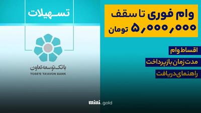 وام ۵ میلیاردی حاتم بانک توسعه تعاون با بازپرداخت ۴۸ ماهه + شرایط دریافت