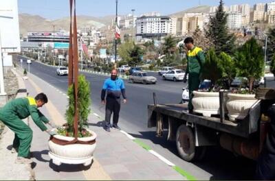 ۲۰۰ هزار گل گلدانی در معابر شهر اراک کاشته شد