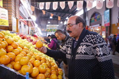 آغاز عرضه سیب و پرتقال نوروزی در ایلام