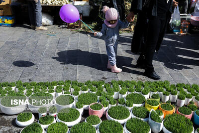 منتظر گرمای هوا در روزهای آخر سال باشید |  انصاف نیوز