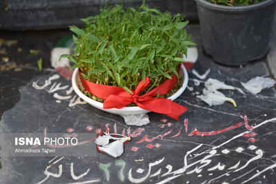 آخرین پنجشنبه سال ۱۴۰۳ در گلستان شهدا - اصفهان