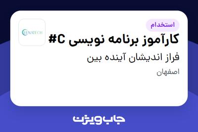 استخدام کارآموز برنامه نویسی C# - خانم در فراز اندیشان آینده بین