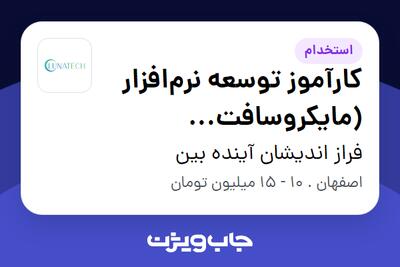 استخدام کارآموز توسعه نرم‌افزار (مایکروسافت داینامیکس 365) - خانم در فراز اندیشان آینده بین