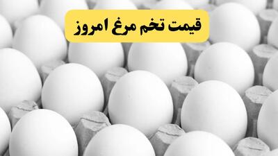 قیمت لحظه‌ای تخم مرغ امروز پنجشنبه ۲۳ اسفند ۱۴۰۳/ دانه ای و شانه ای چقدر؟