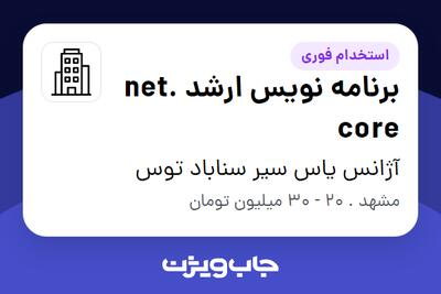 استخدام برنامه نویس ارشد .net core - آقا در آژانس یاس سیر سناباد توس