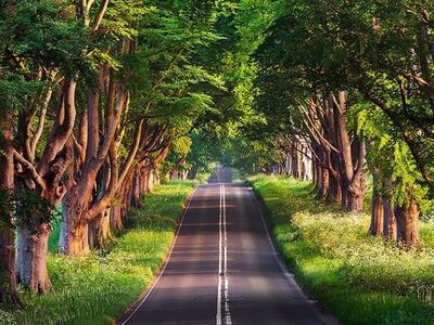 گیلان زیبا ترین استان ایران/جاهای دیدنی گیلان؛ معرفی برترین جاذبه‌های گردشگری بهشت سرسبز ایران اندیشه معاصر