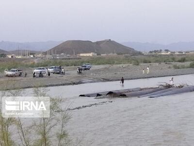 وزش باد گرم و افزایش دما در ۳ استان شمالی