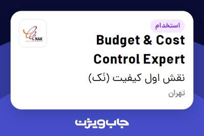 استخدام Budget   Cost Control Expert در نقش اول کیفیت (نَک)