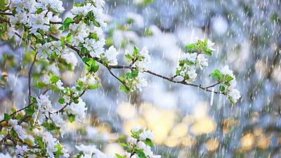 سرمای شدید در پیش است