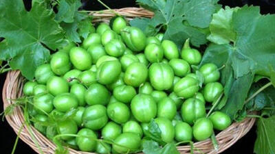 عرضه میوه‌های نوبرانه در میادین میوه و تره‌بار پایتخت