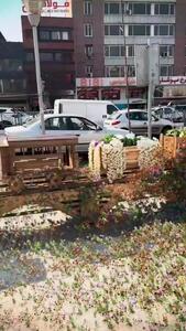فال و طالع بینی روزانه 7 فروردین 1404 + فیلم