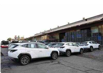 این خودروها با دلار بالای ۳۰۰ هزار تومان در بازار فروخته میشود/ سقوط قیمت کدام خودروها قطعی است؟