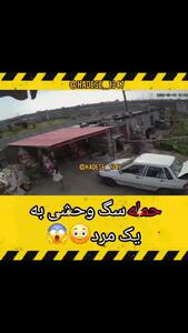 حمله سگ وحشی به یک مرد در حیاط خانه