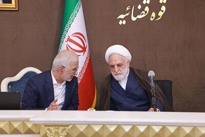 تذکر محسنی اژه ای درباره برخورد با «جرائم مشهود»
