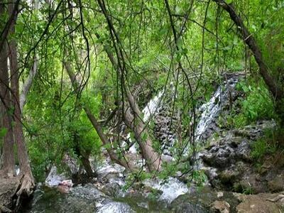 تعطیلی تفرجگاه‌های درگز