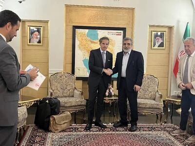 استقبال کمالوندی از گروسی در تهران