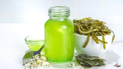 آیا روغن جلبک برای پخت‌و‌پز سالم است؟