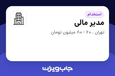استخدام مدیر مالی - آقا در سازمانی فعال در حوزه اینترنت / تجارت الکترونیک / خدمات آنلاین