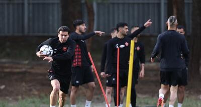 کارتال دوباره پرسپولیسی‌ها به خط می‌کند